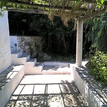 Nyfi Bungalows Holiday home *